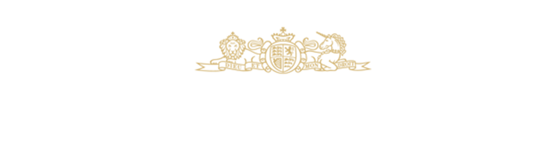 SUNDAY TIME REVIEW ICON